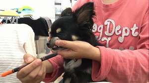 IMG_2808.jpg