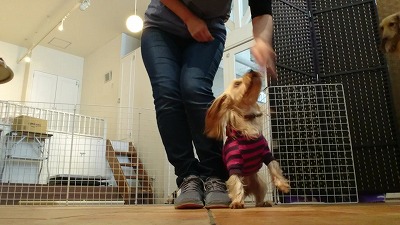 MOV_0009_000109.jpg