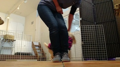 MOV_0009_000110.jpg