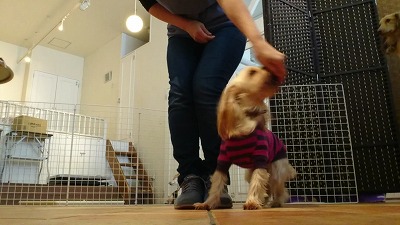 MOV_0009_000111.jpg
