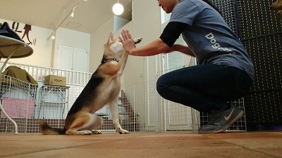 MOV_0010_000154.jpg