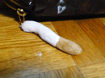 しっぽ