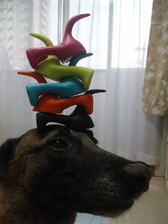 100702_1814281.jpg