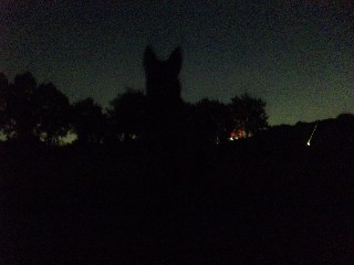 100806_20224611.jpg