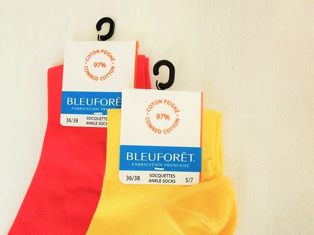 BLEU FORET¥ß¥Ç¥£¥¢¥à¥½¥Ã¥¯¥¹£±.JPG