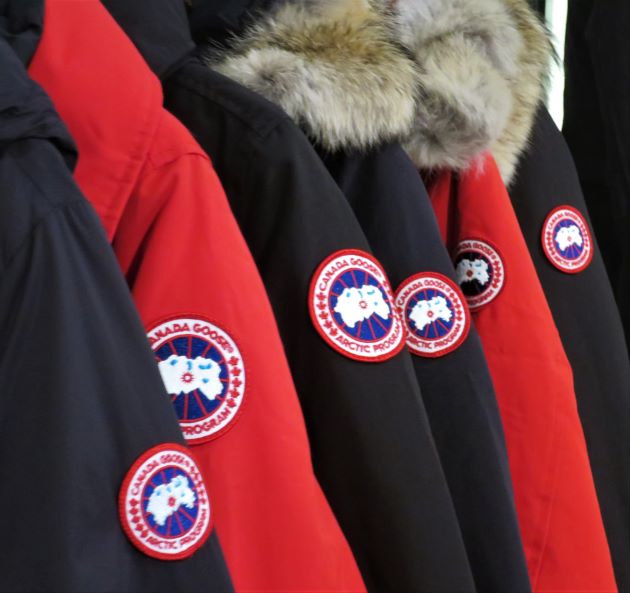 CANADA GOOSE.JPG