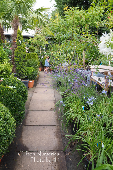 cliftonnurseries.jpg
