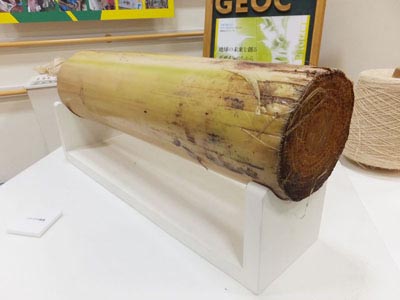 banana01