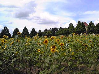 100808_1240~01_Ed.JPG