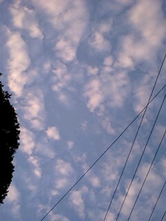101012_1649~0001.jpg