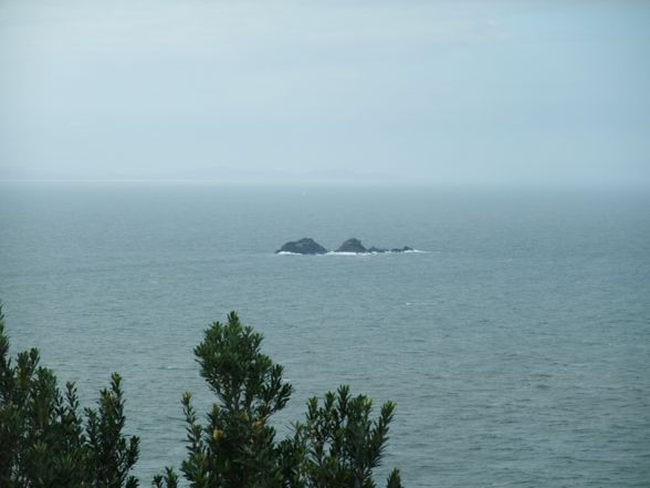 DSCF4565.jpg