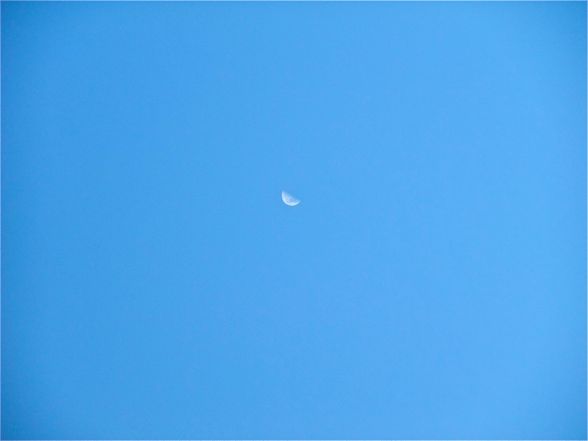 DSCF4638.jpg