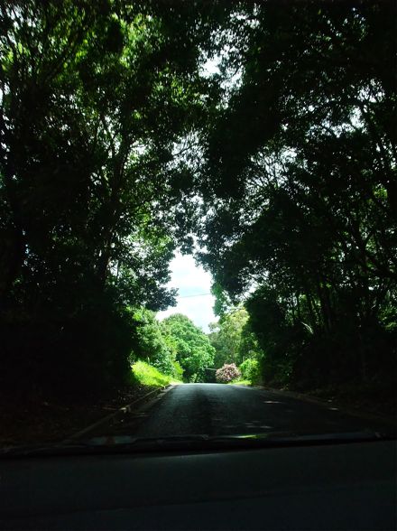 DSCF4729.jpg
