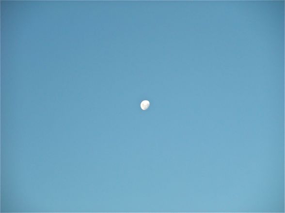 DSCF4868.jpg