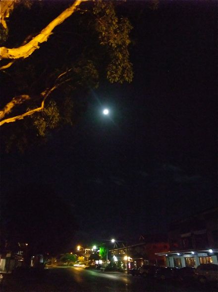 DSCF4938.jpg