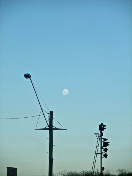 DSCF4993.jpg