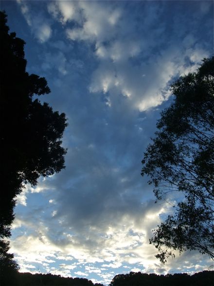 DSCF5106.jpg