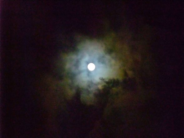 DSCF5169.jpg