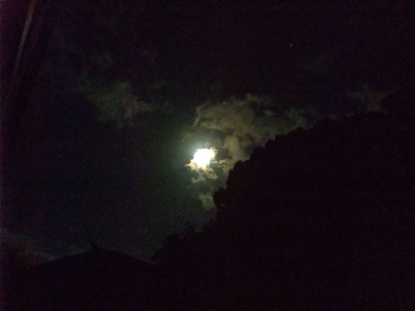 DSCF5172.jpg