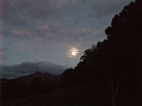 DSCF5179.jpg