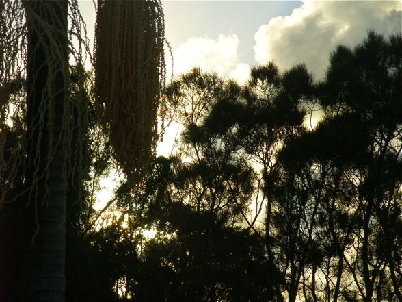 DSCF5420.jpg