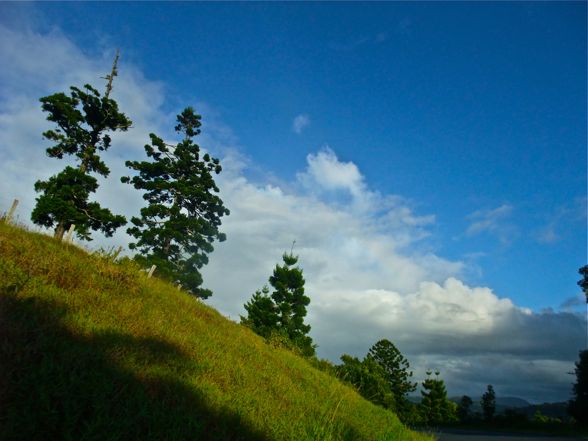 DSCF5541.jpg