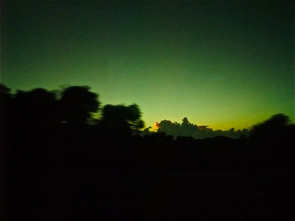 DSCF5591.jpg
