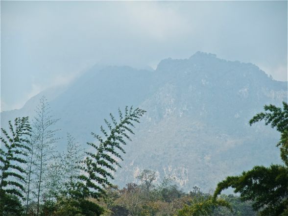 DSCF5656.jpg