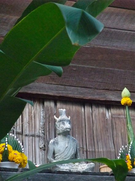 DSCF5788.jpg