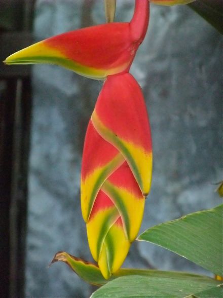 DSCF5791.jpg