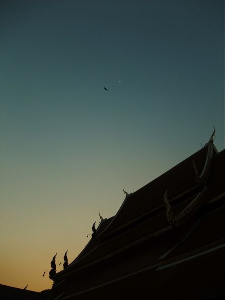 DSCF5919.jpg