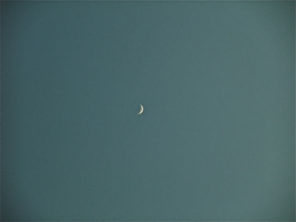 DSCF5920.jpg