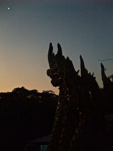 DSCF5937.jpg