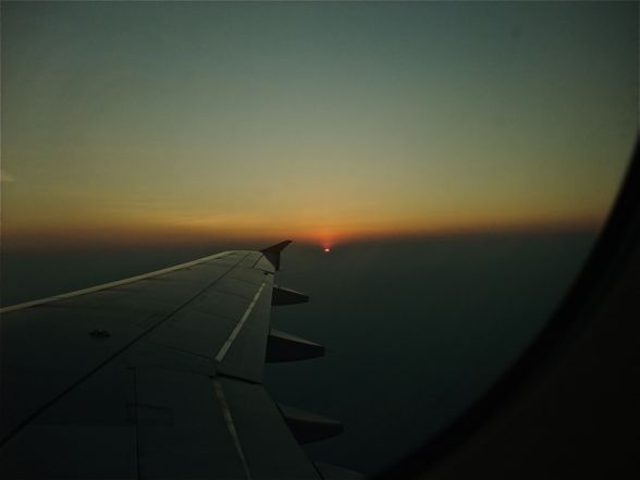 DSCF5951.jpg