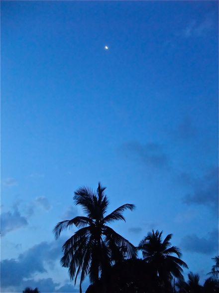 DSCF5996.jpg