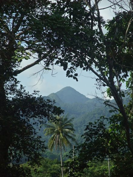 DSCF6050.jpg