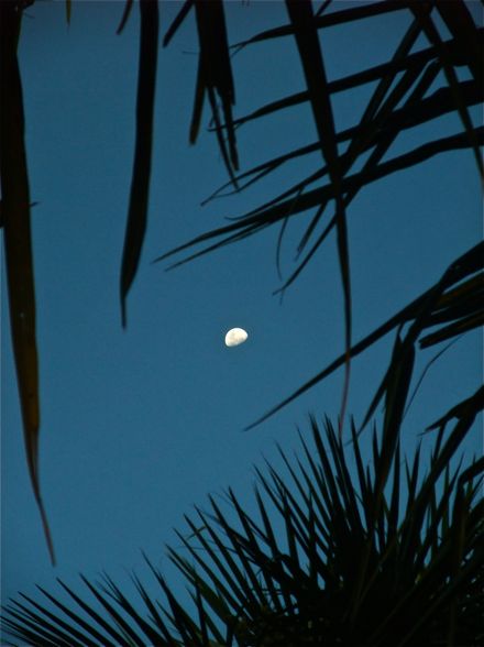 DSCF6061.jpg