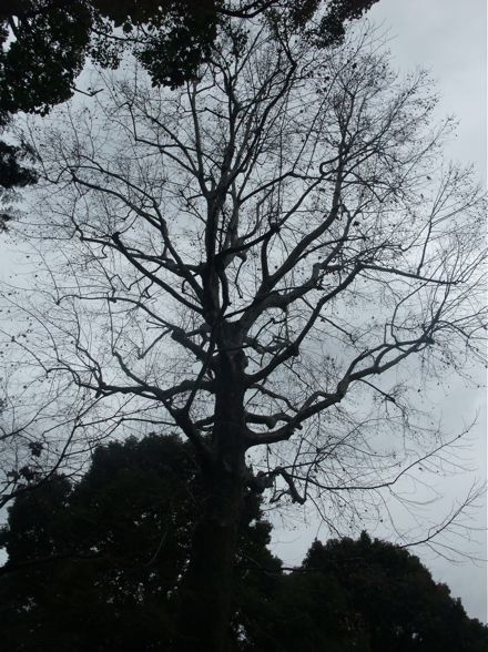 DSCF6169.jpg