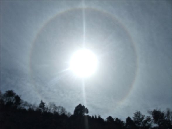 DSCF6308.jpg
