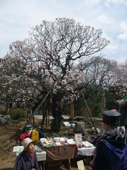 DSCF6555.jpg