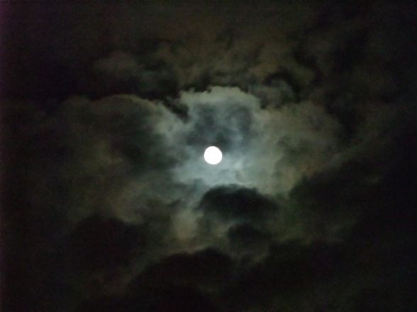 DSCF6592.jpg