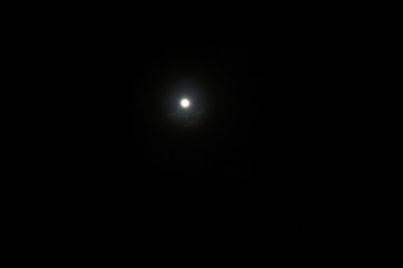 IMG_6208.jpg