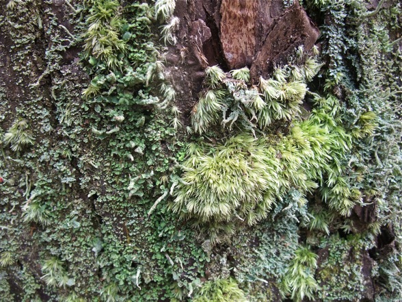 DSCF6746.jpg