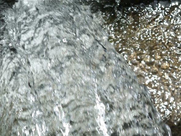 DSCF6767.jpg