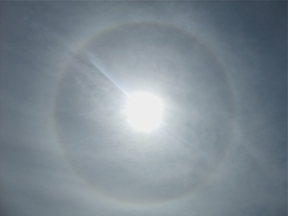 DSCF6835.jpg