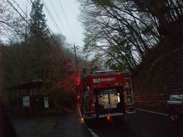 DSCF7115.jpg