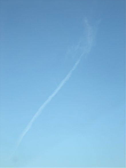 DSCF7131.jpg