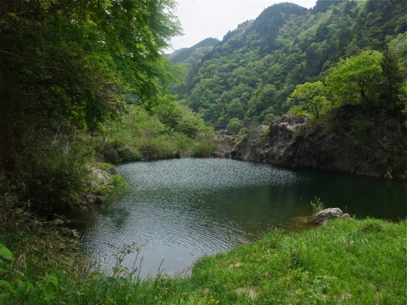 DSCF7261.jpg