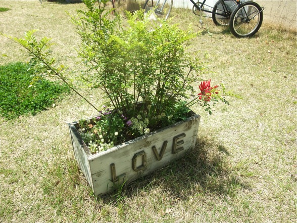 DSCF7294.jpg