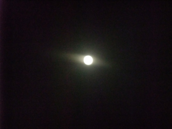 DSCF7339.jpg